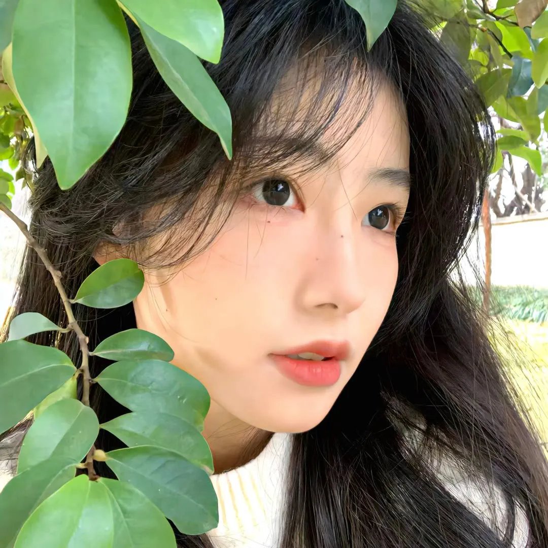 目击者海报