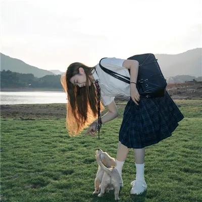 狂风飞絮海报